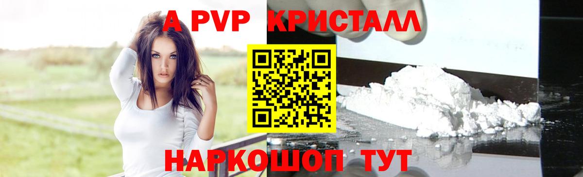 APVP СК Коркино