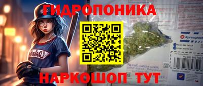 гидропоника Кинель