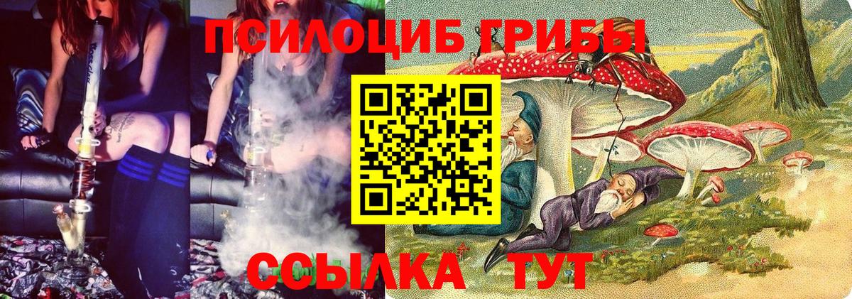 Псилоцибиновые грибы MAGIC MUSHROOMS  даркнет сайт  Коркино  Вход с VPN  Псилоцибиновые грибы Psilocybe 